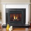 Direct Vent Fireplaces