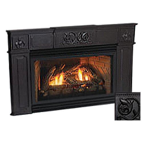 25" Innsbrook Direct Vent Fireplace Insert with Cast Iron Surround (Millivolt/Pilot) - Empire